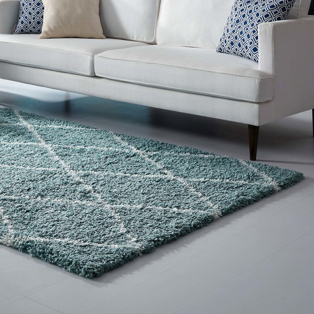 Toryn Diamond Lattice 5x8 Shag Area Rug