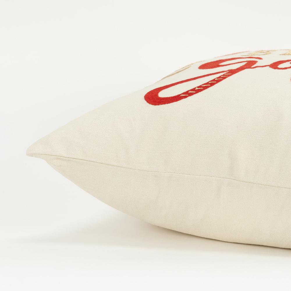 20" x 20" Down Filled Pillow