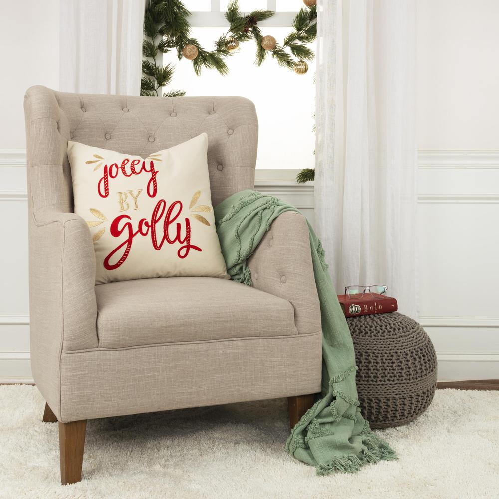 20" x 20" Down Filled Pillow