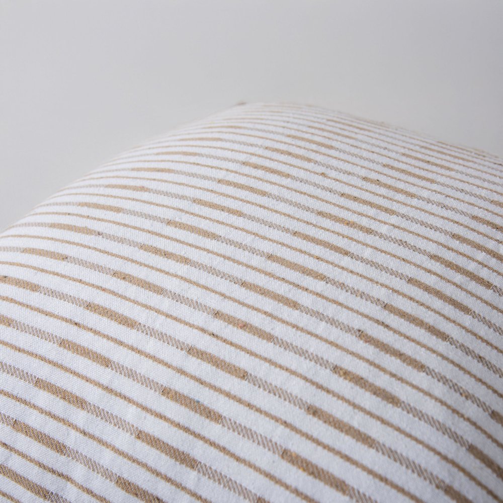 Transitional  20" x 20" Down Filled Pillow