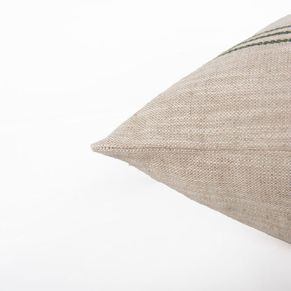 Transitional  20" x 20" Down Filled Pillow