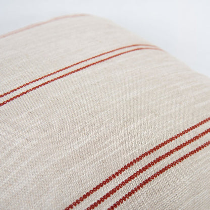 Transitional  20" x 20" Down Filled Pillow