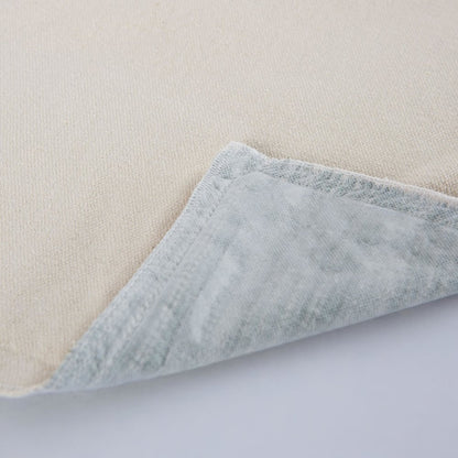 Transitional  22" x 22" Down Filled Pillow