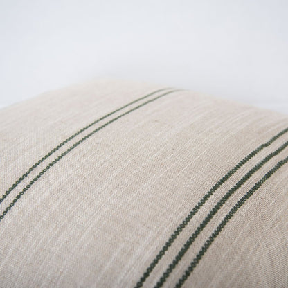 Transitional  20" x 20" Poly Filled Pillow