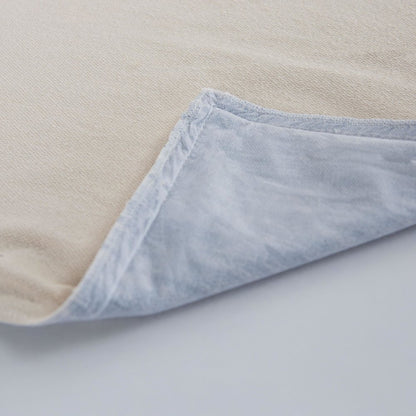 Transitional  22" x 22" Poly Filled Pillow