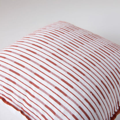 Transitional  20" x 20" Poly Filled Pillow