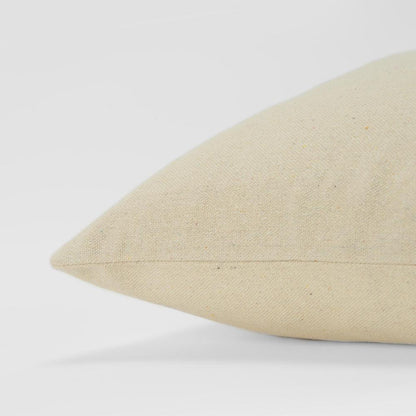 20" x 20" Pillow Cover