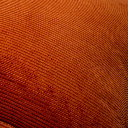 20" x 20" indoor pillow