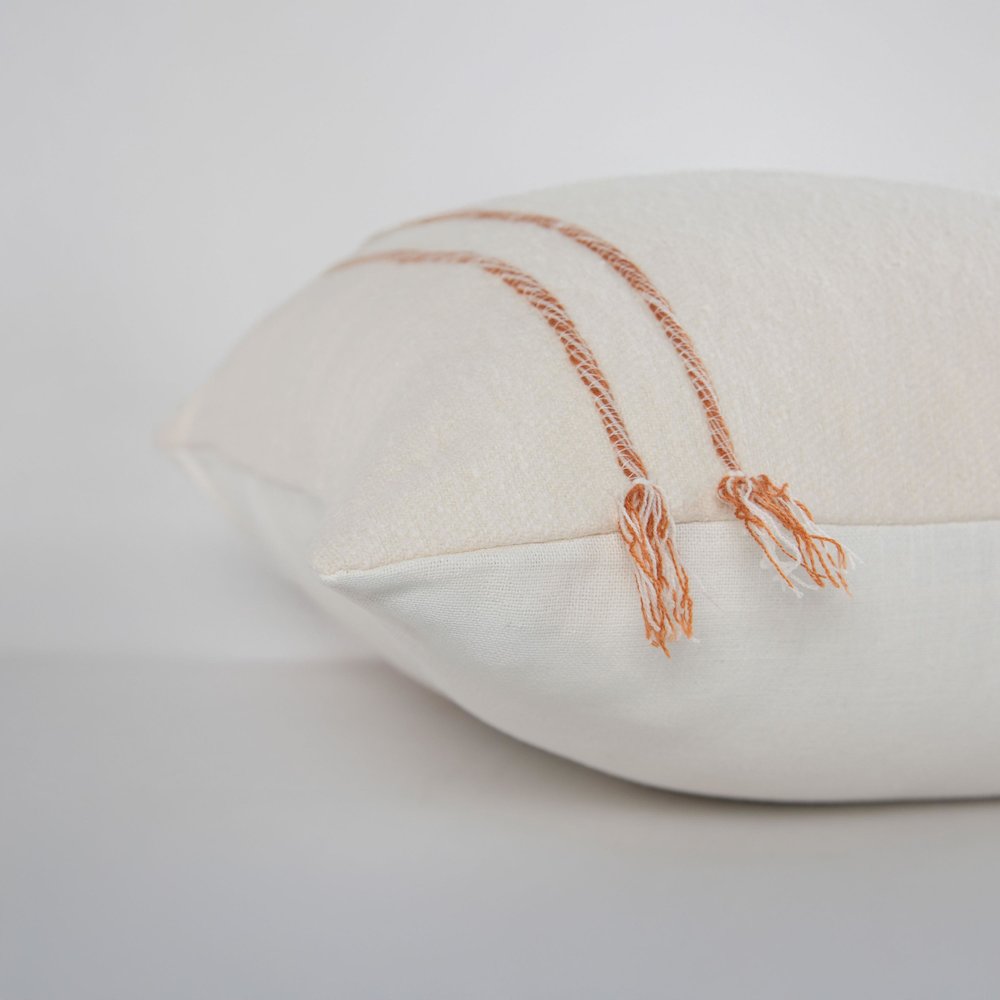 Transitional 20" x 20" Pillow Cover