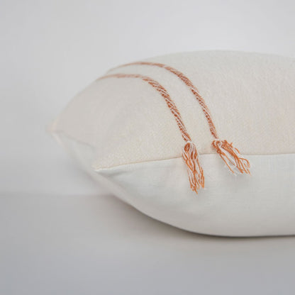 Transitional 20" x 20" Pillow Cover