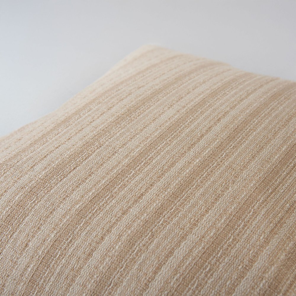 Transitional  22" x 22" Pillow Cover