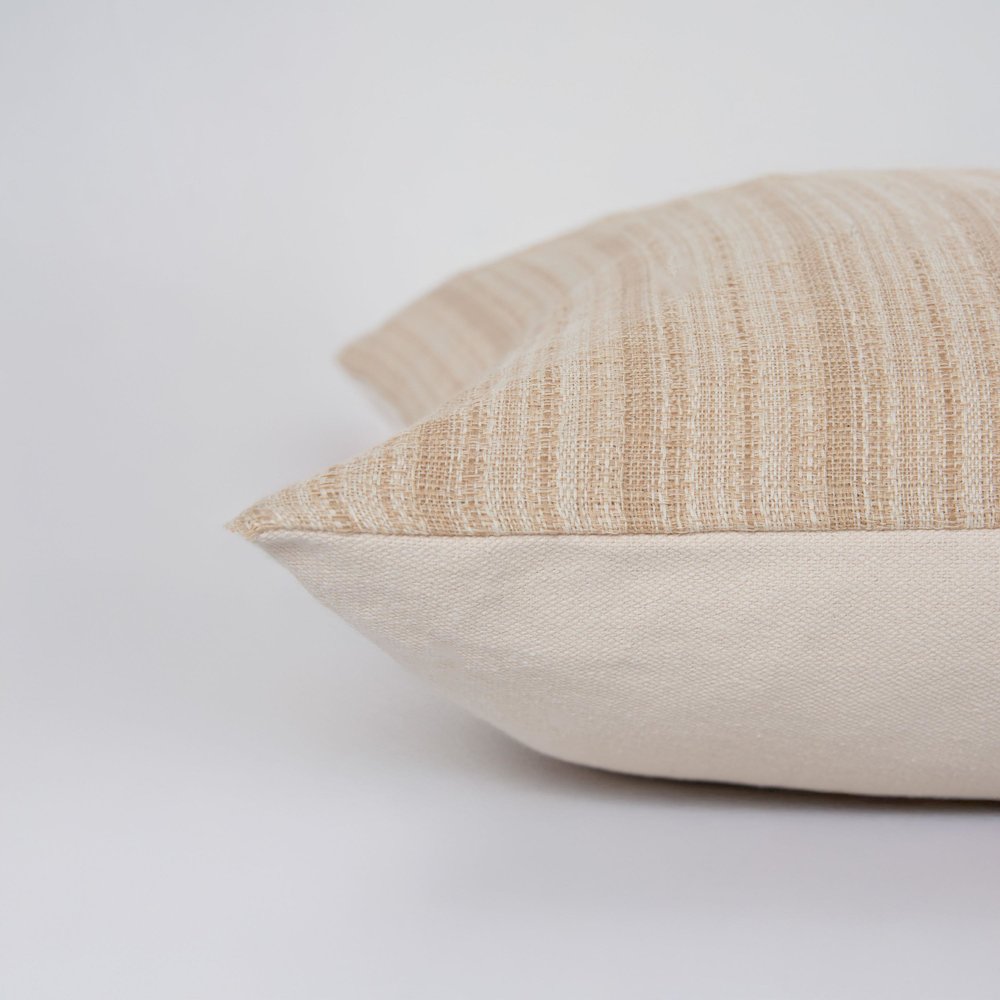 Transitional  22" x 22" Pillow Cover