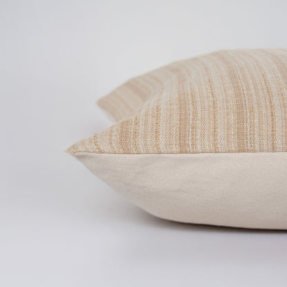 Transitional  22" x 22" Pillow Cover