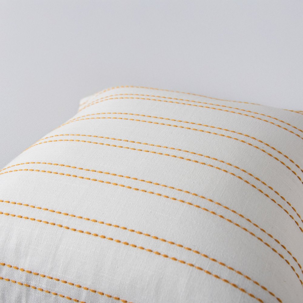Transitional  20" x 20" Pillow Cover