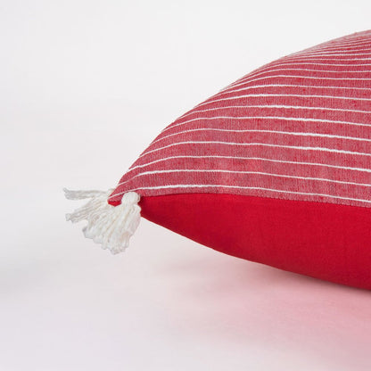 Transitional  20" x 20" Pillow Cover