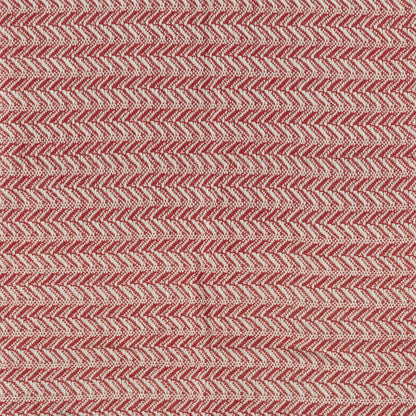 50" x 60" Throw