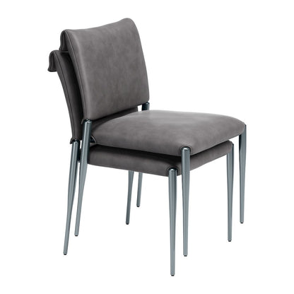 Freesia Dining Chair (Set of 2) Charcoal Gray