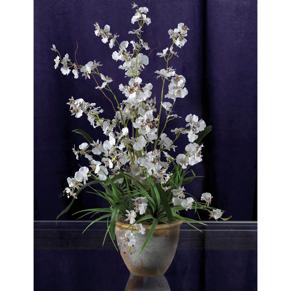 Dancing Lady Silk Orchid Arrangement