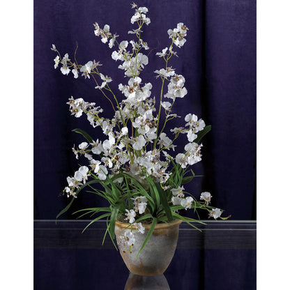 Dancing Lady Silk Orchid Arrangement