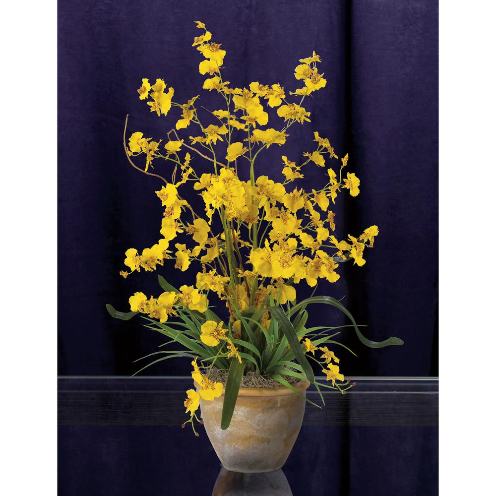 Dancing Lady Silk Orchid Arrangement