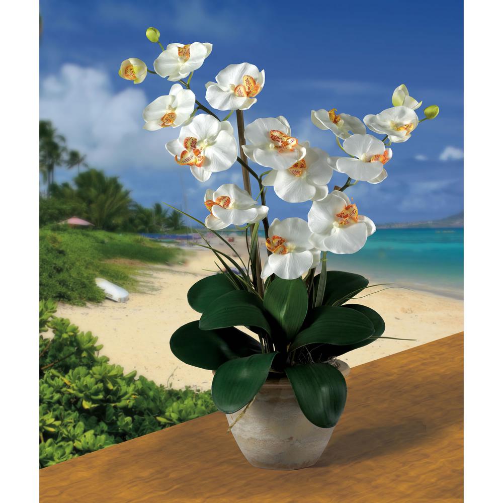 Double Phalaenopsis Silk Orchid Flower Arrangement