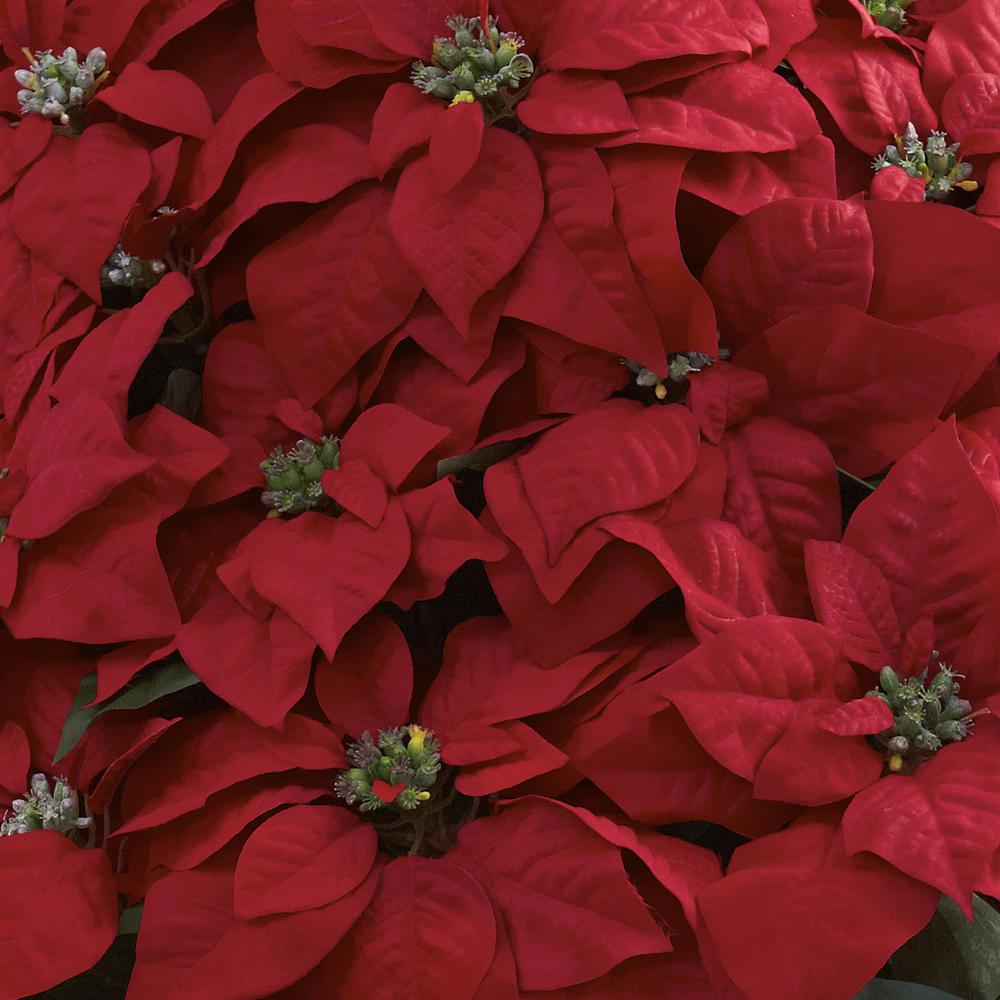 Giant Poinsettia Arrangement with Decorative Planter