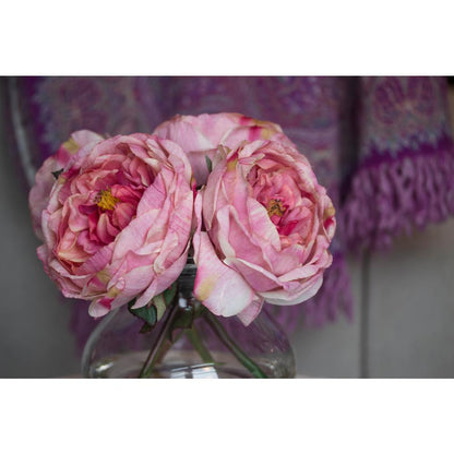 Fancy Rose with Vase, Pink