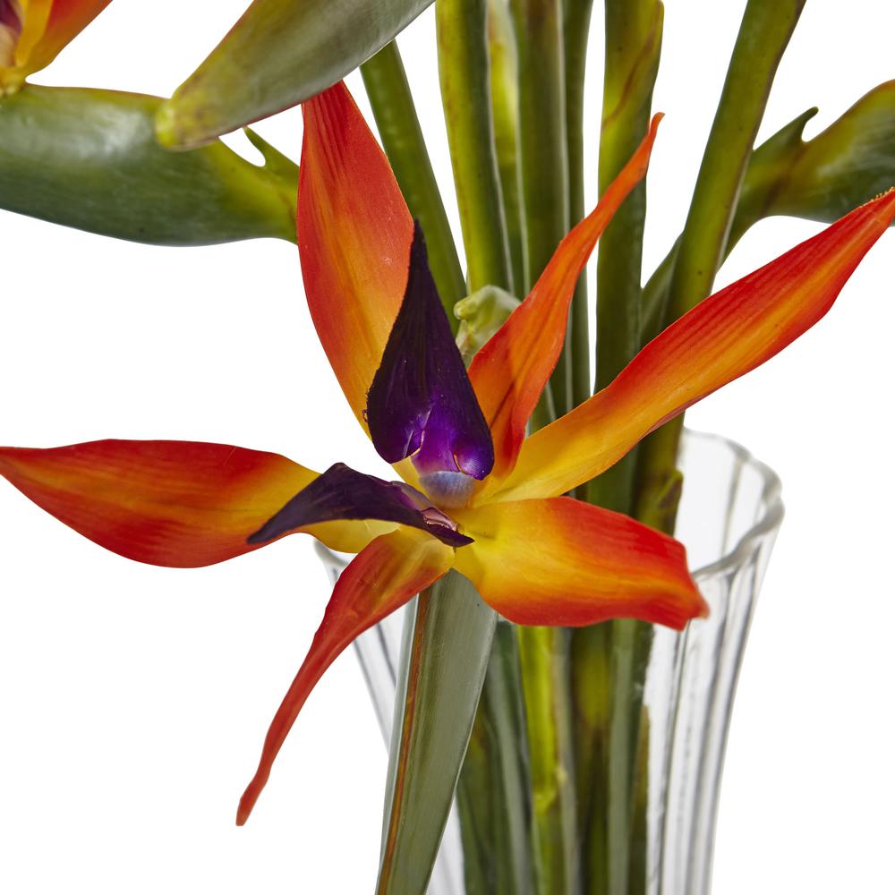 Large Bird of Paradise in Vase