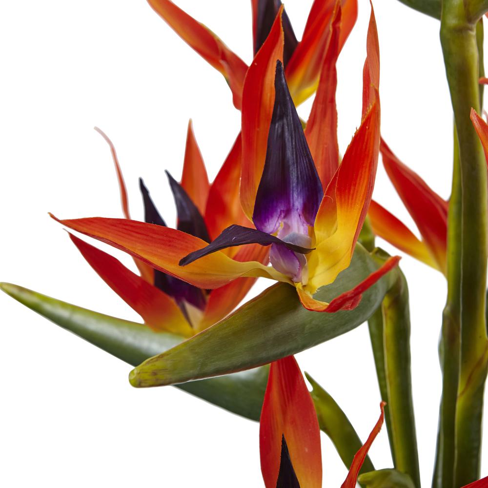 Large Bird of Paradise in Vase
