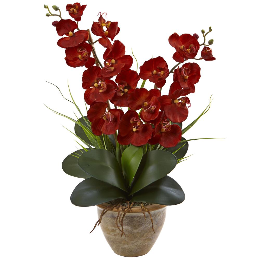 Double Phalaenopsis Harvest Silk Orchid Arrangement in Ceramic Vase