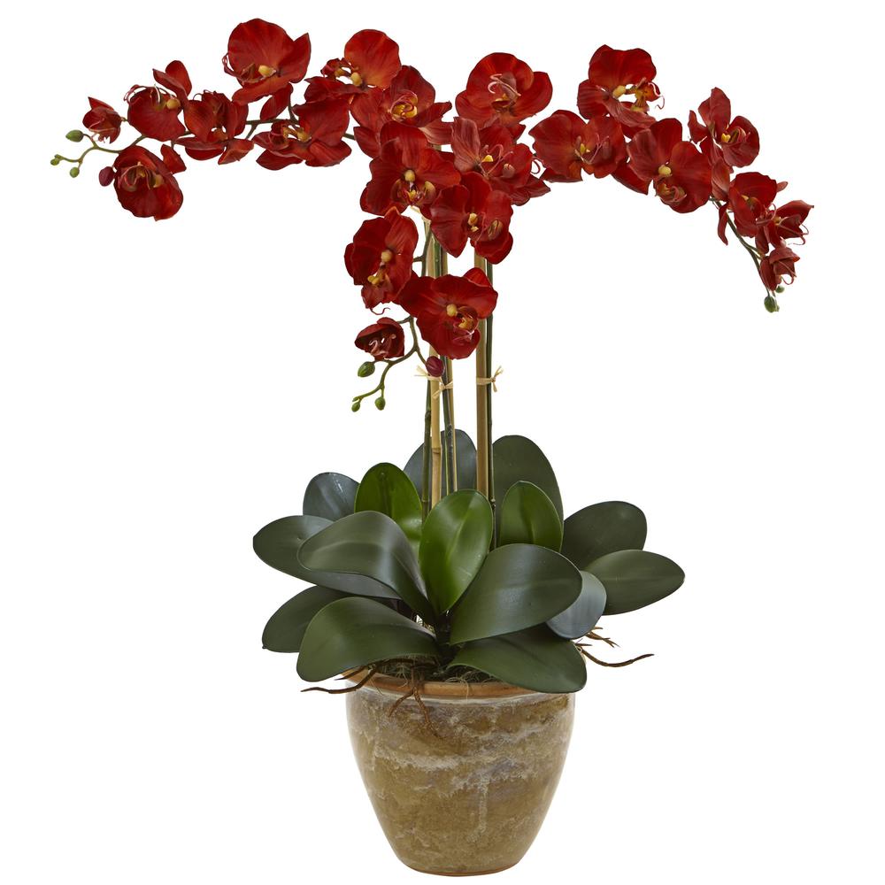 Triple Stem Phalaenopsis Silk Arrangement, Seasonal