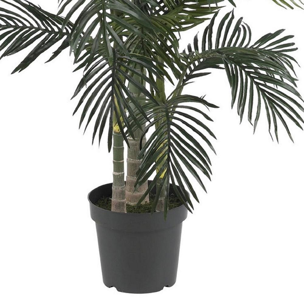 6.5ft. Golden Cane Palm Silk Tree