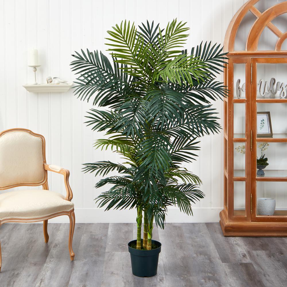 6.5ft. Golden Cane Palm Silk Tree