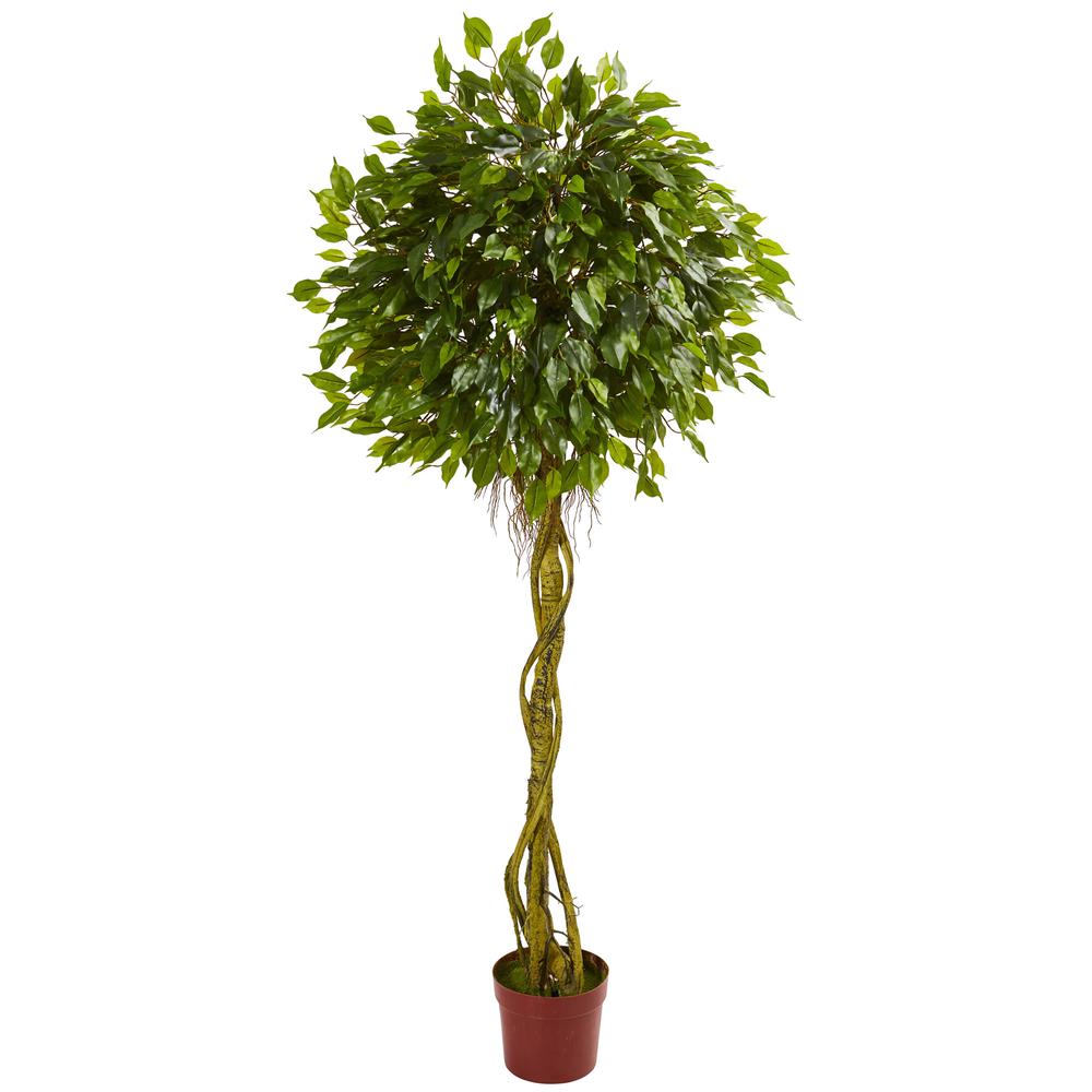 6ft. Ficus Artificial Topiary Tree, UV Resistant (Indoor/Outdoor)