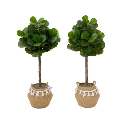 4ft. Artificial Fiddle Leaf Fig Tree with Handmade Jute (Set of 2)