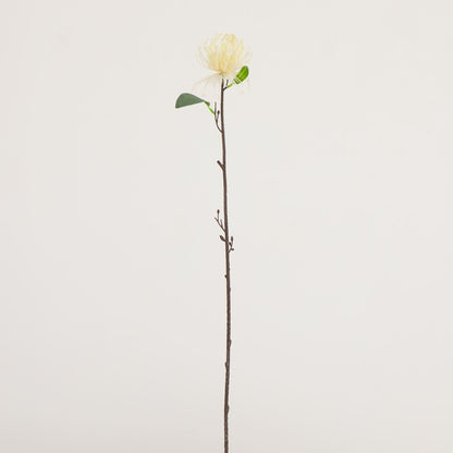 24in. Artificial Pincushion Protea Flower Stem - Set of 4