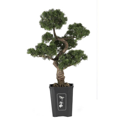 36in. Cedar Bonsai Silk Plant