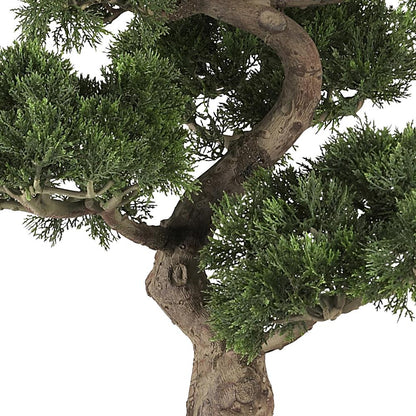 36in. Cedar Bonsai Silk Plant