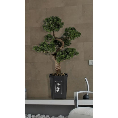 36in. Cedar Bonsai Silk Plant