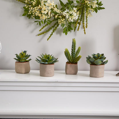 Mixed Succulent Artificial Plant (Set of 4)