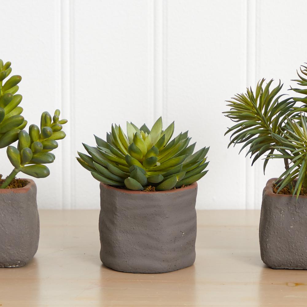 Mixed Succulent Trio Artificial Plant (Set of 3)