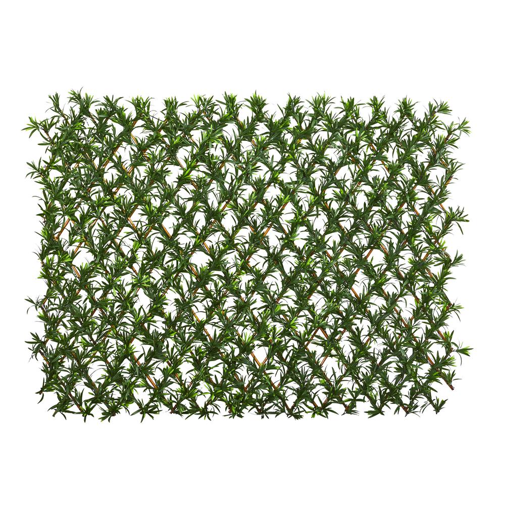 Expandable Podocarpus Fence UV Resistant & Waterproof