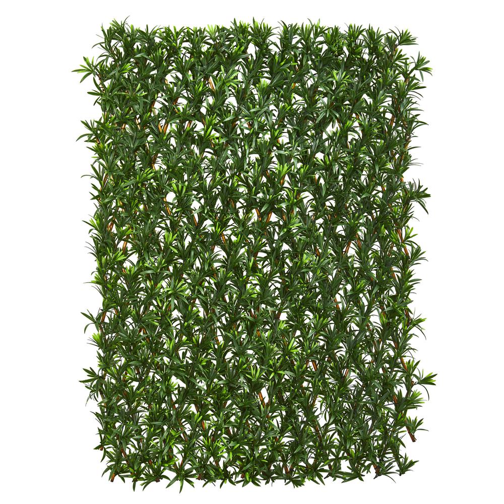 Expandable Podocarpus Fence UV Resistant & Waterproof