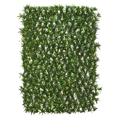 Expandable Podocarpus Fence UV Resistant & Waterproof