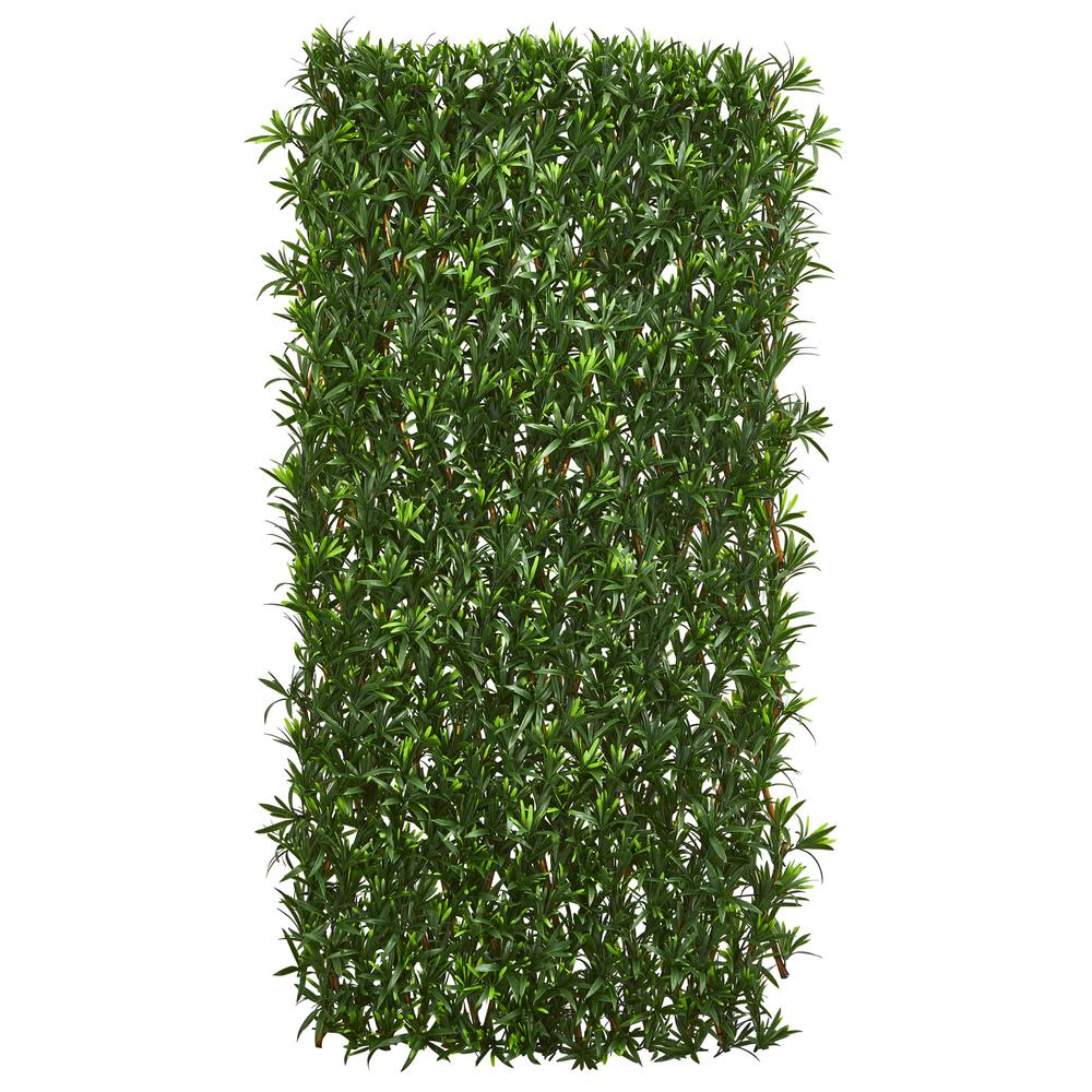 Expandable Podocarpus Fence UV Resistant & Waterproof