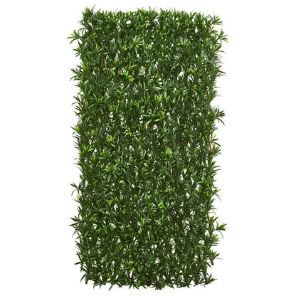 Expandable Podocarpus Fence UV Resistant & Waterproof