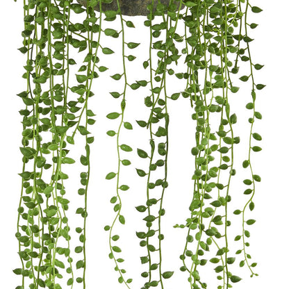 String of Pearl Artificial Plant Hanging Basket