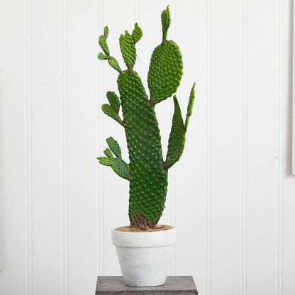 27in. Cactus Artificial Plant