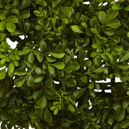 22in. Boxwood Wreath