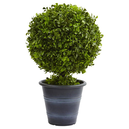 23in. Boxwood Ball Topiary